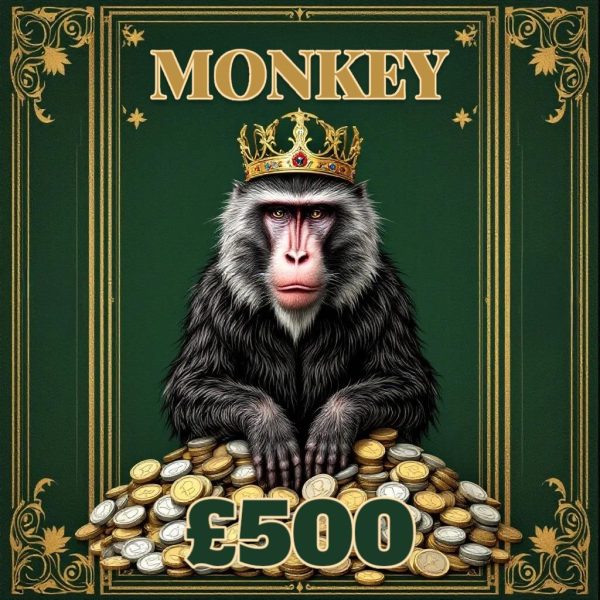 Win A Monkey! £500 Tax-Free Cash